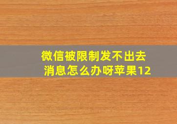 微信被限制发不出去消息怎么办呀苹果12