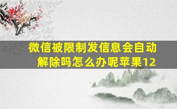 微信被限制发信息会自动解除吗怎么办呢苹果12