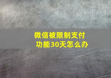 微信被限制支付功能30天怎么办