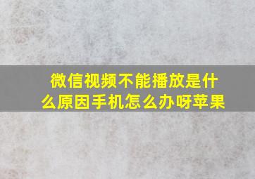 微信视频不能播放是什么原因手机怎么办呀苹果