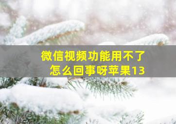 微信视频功能用不了怎么回事呀苹果13