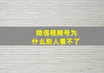 微信视频号为什么别人看不了