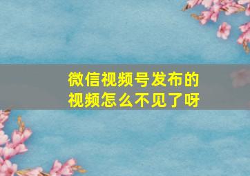 微信视频号发布的视频怎么不见了呀