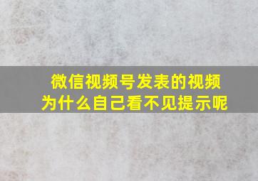 微信视频号发表的视频为什么自己看不见提示呢