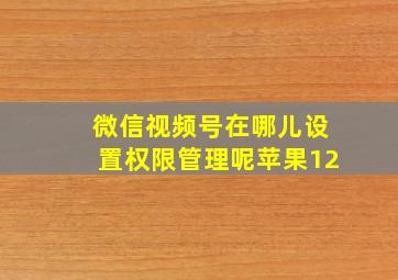 微信视频号在哪儿设置权限管理呢苹果12