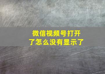 微信视频号打开了怎么没有显示了