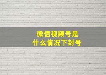 微信视频号是什么情况下封号