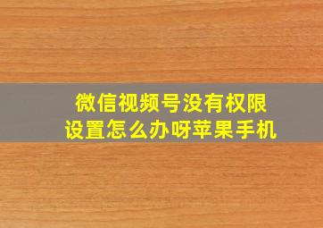 微信视频号没有权限设置怎么办呀苹果手机