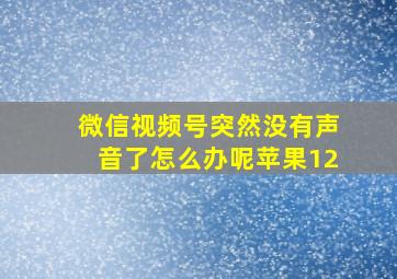 微信视频号突然没有声音了怎么办呢苹果12