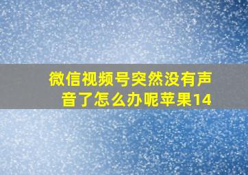 微信视频号突然没有声音了怎么办呢苹果14