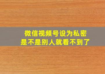 微信视频号设为私密是不是别人就看不到了