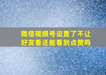 微信视频号设置了不让好友看还能看到点赞吗