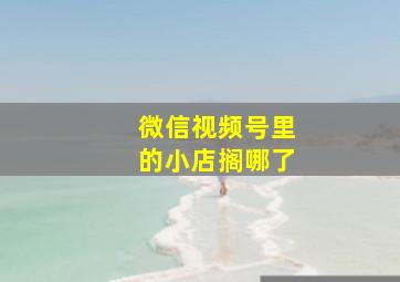 微信视频号里的小店搁哪了