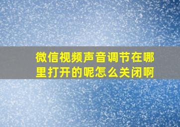 微信视频声音调节在哪里打开的呢怎么关闭啊