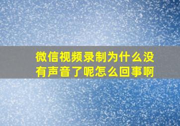 微信视频录制为什么没有声音了呢怎么回事啊