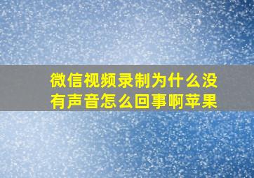 微信视频录制为什么没有声音怎么回事啊苹果