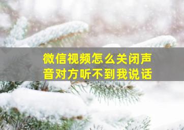 微信视频怎么关闭声音对方听不到我说话