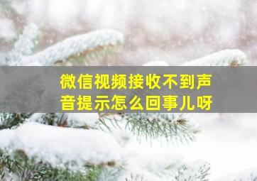 微信视频接收不到声音提示怎么回事儿呀