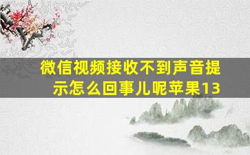 微信视频接收不到声音提示怎么回事儿呢苹果13