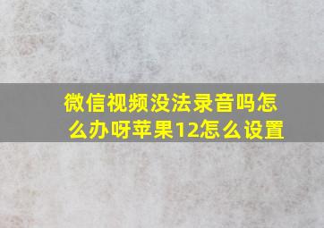 微信视频没法录音吗怎么办呀苹果12怎么设置