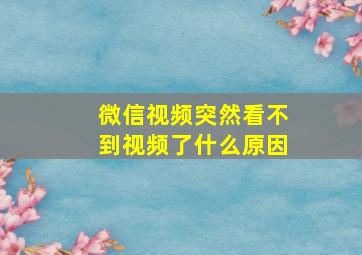 微信视频突然看不到视频了什么原因