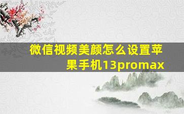 微信视频美颜怎么设置苹果手机13promax