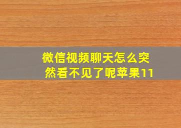 微信视频聊天怎么突然看不见了呢苹果11