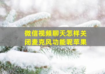 微信视频聊天怎样关闭麦克风功能呢苹果