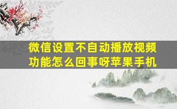 微信设置不自动播放视频功能怎么回事呀苹果手机