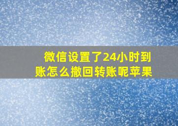 微信设置了24小时到账怎么撤回转账呢苹果