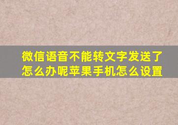 微信语音不能转文字发送了怎么办呢苹果手机怎么设置