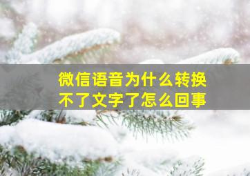 微信语音为什么转换不了文字了怎么回事