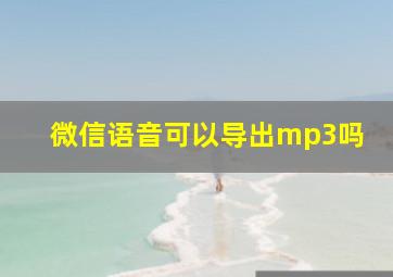 微信语音可以导出mp3吗