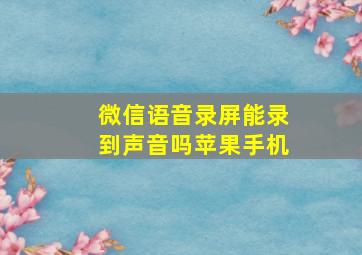 微信语音录屏能录到声音吗苹果手机