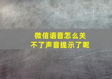 微信语音怎么关不了声音提示了呢