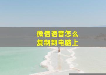 微信语音怎么复制到电脑上