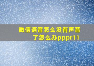 微信语音怎么没有声音了怎么办pppr11