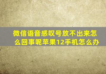 微信语音感叹号放不出来怎么回事呢苹果12手机怎么办