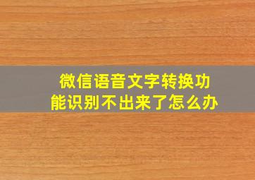 微信语音文字转换功能识别不出来了怎么办