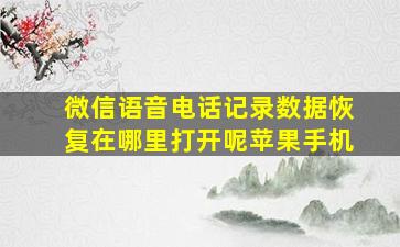 微信语音电话记录数据恢复在哪里打开呢苹果手机