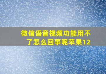 微信语音视频功能用不了怎么回事呢苹果12