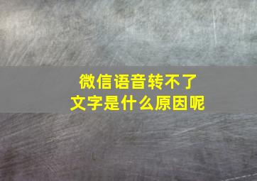 微信语音转不了文字是什么原因呢