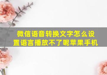 微信语音转换文字怎么设置语言播放不了呢苹果手机