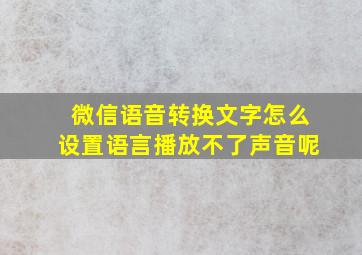 微信语音转换文字怎么设置语言播放不了声音呢