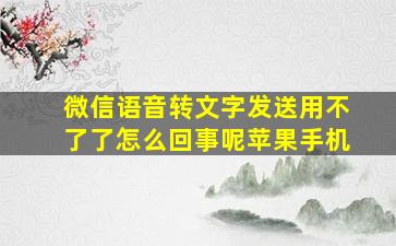 微信语音转文字发送用不了了怎么回事呢苹果手机