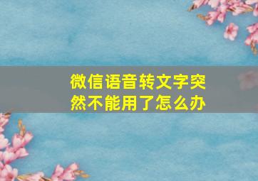 微信语音转文字突然不能用了怎么办