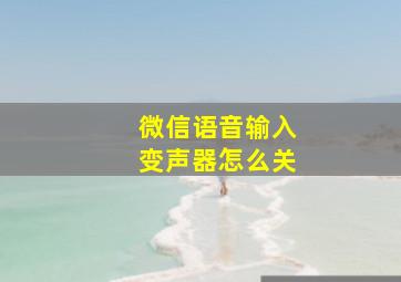 微信语音输入变声器怎么关