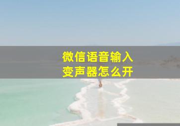 微信语音输入变声器怎么开