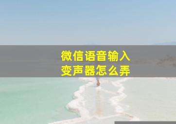 微信语音输入变声器怎么弄