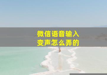 微信语音输入变声怎么弄的